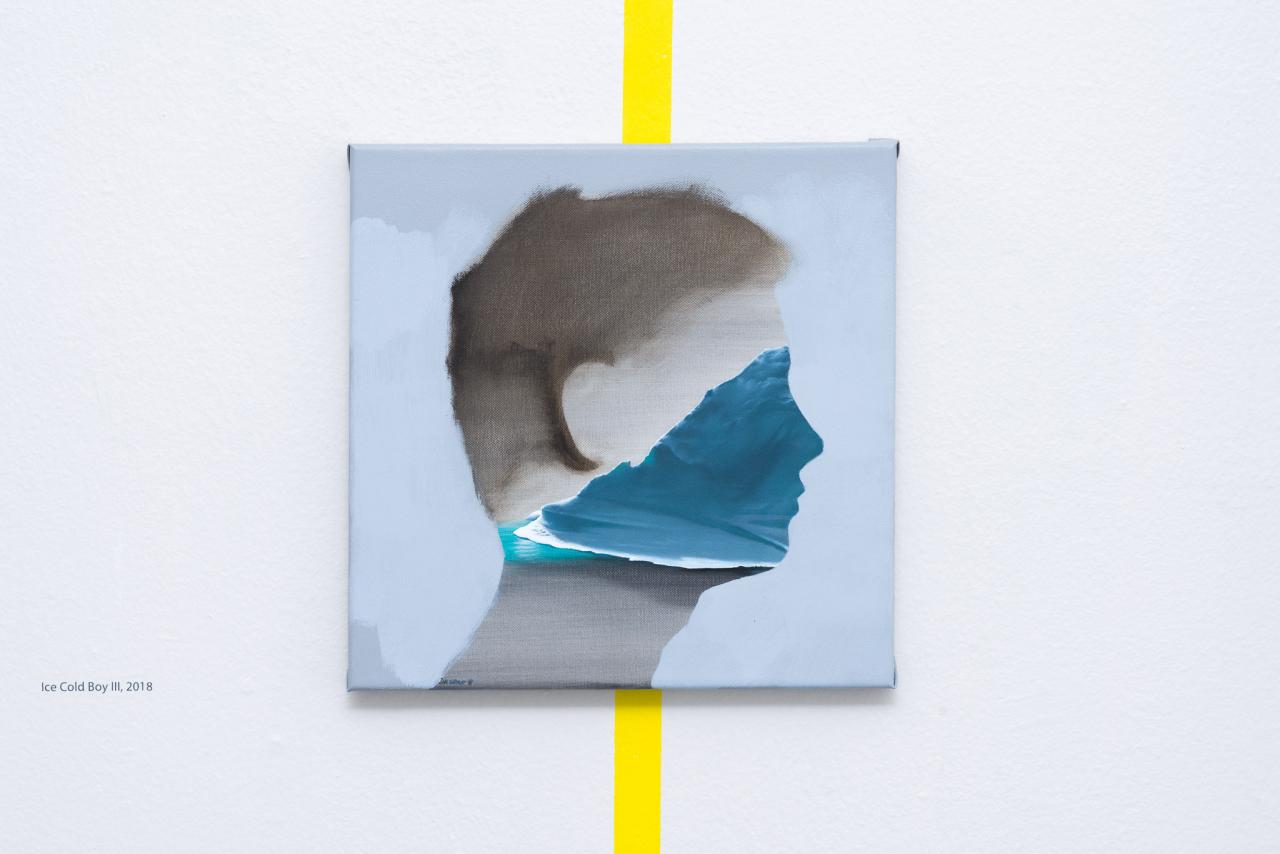 instalation new horizons